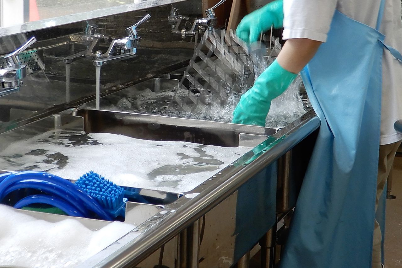 写真はイメージです