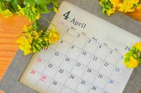 【知って楽しい雑学】4月1日はエイプリルフール！嘘をついたりジョークを言い合うのはなぜか、起源は16世紀…