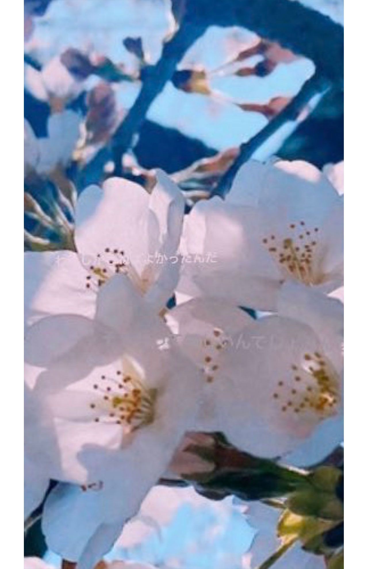 疑惑のインスタストーリー。拡大すると何や「テキスト」が（ツイッターより）