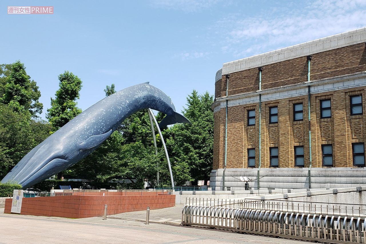 東京・上野にある国立科学博物館　撮影／編集部