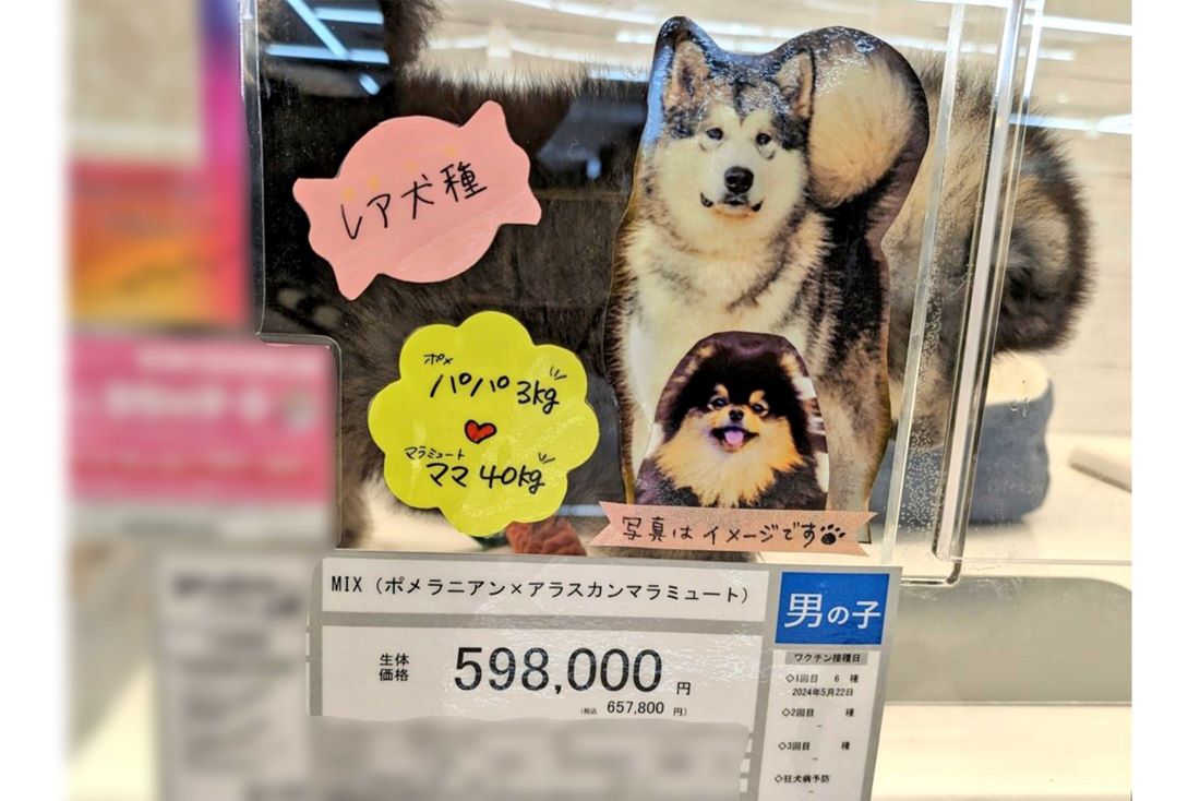 1200万回以上表示され、話題となった投稿（Xより）