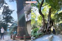 『週刊女性』5/10・17合併号、ドリームジャンボ宝くじ必勝企画「あやかり待ち受け」はコチラ!