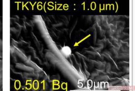 大気エアフィルターや土壌から発見されたセシウムボール。写真は'19年の宇都宮聡・九州大学准教授らの論文から