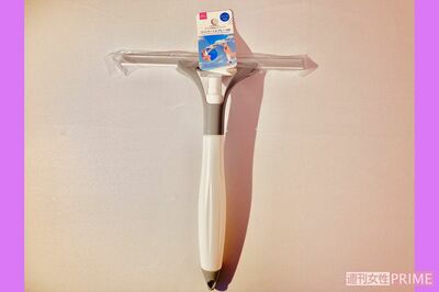 『ワイパー（スプレー付き）』水吹きとワイパーの機能を持つ二刀流アイテム