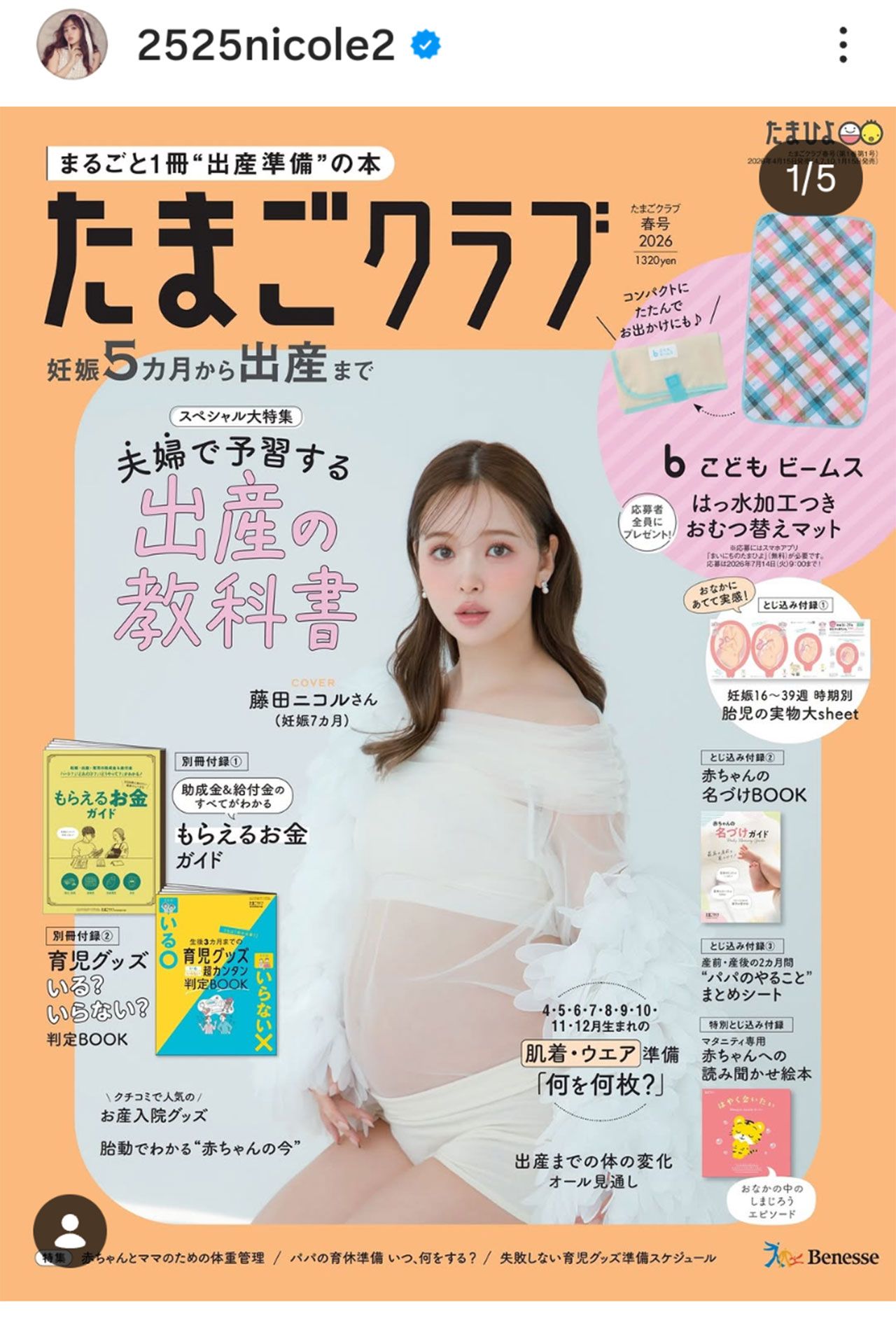 マタニティフォトを披露した藤田ニコル（本人のインスタグラムより）