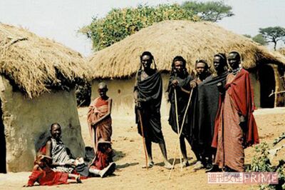 マサイ人が暮らす家は牛の尿を土に混ぜて固めたもの。衣食住に生活の知恵が詰まっている