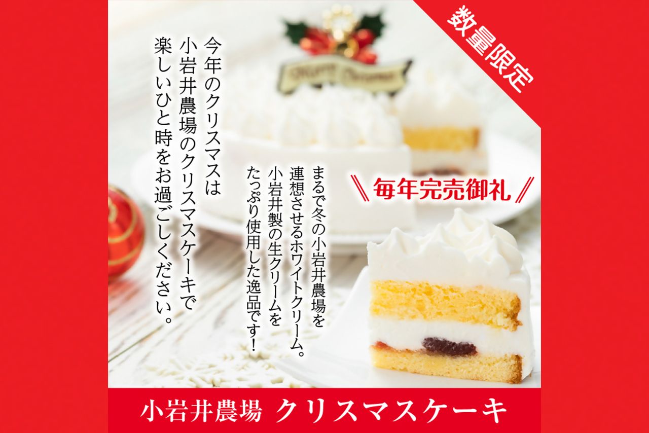 クリスマスケーキ5号サイズ