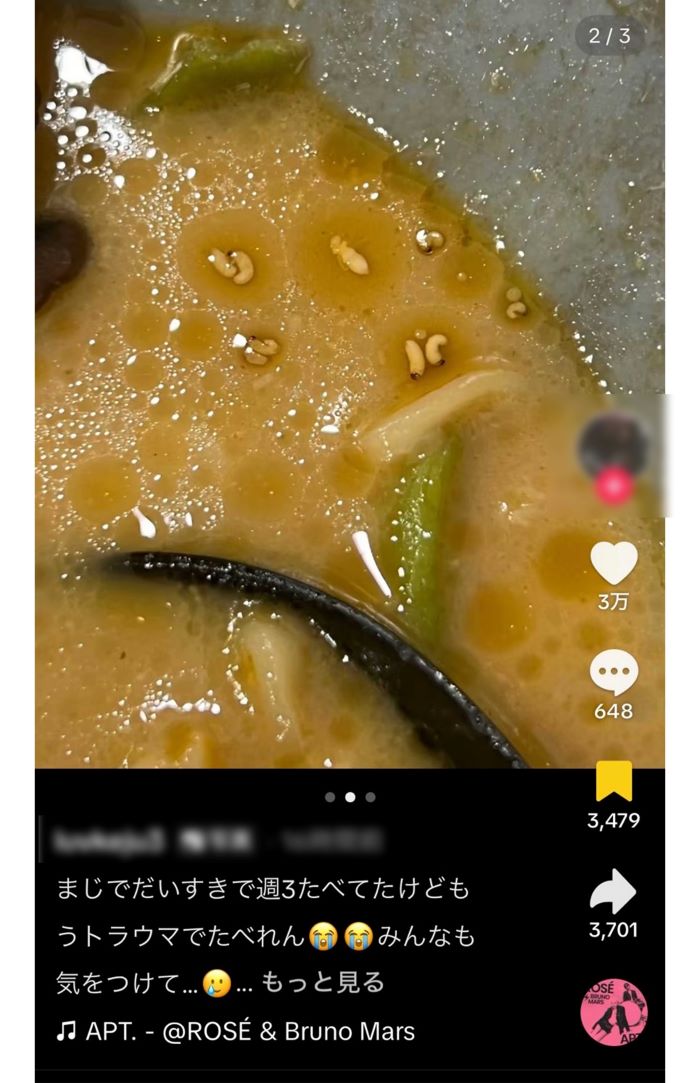 TikTokに投稿された”虫混入疑惑” （現在は削除）