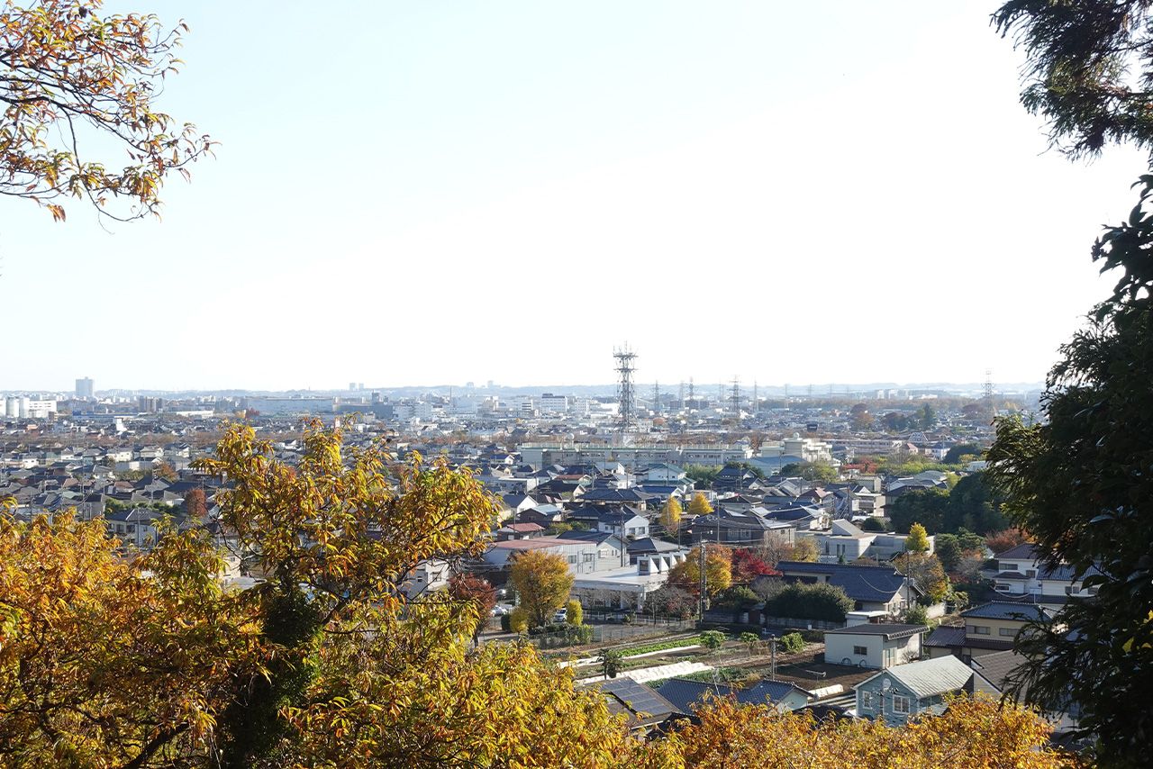 大将山からの市内の景色　写真提供／武蔵村山観光まちづくり協会