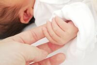 出生率は過去最少、生きづらさを抱える女性の告白「おめでたですか？と聞かないで」