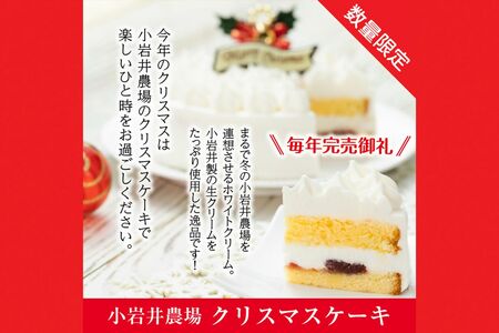 クリスマスケーキ5号サイズ