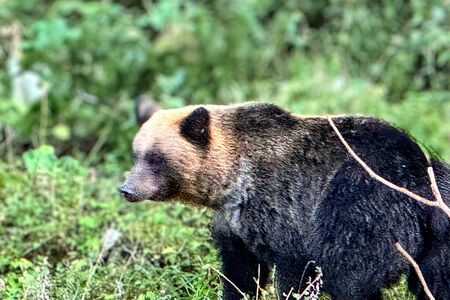 写真はイメージです