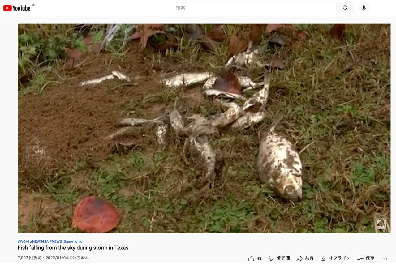 ’22年1月、テキサス州で“魚の雨”が降ったこと伝えるアメリカのニュース（Youtubeより）