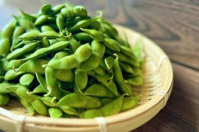 ※写真はイメージです