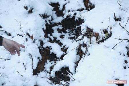 安田さんは「地面が茶色く削れている部分は猪が通った跡の可能性が高い」と指でさし示す