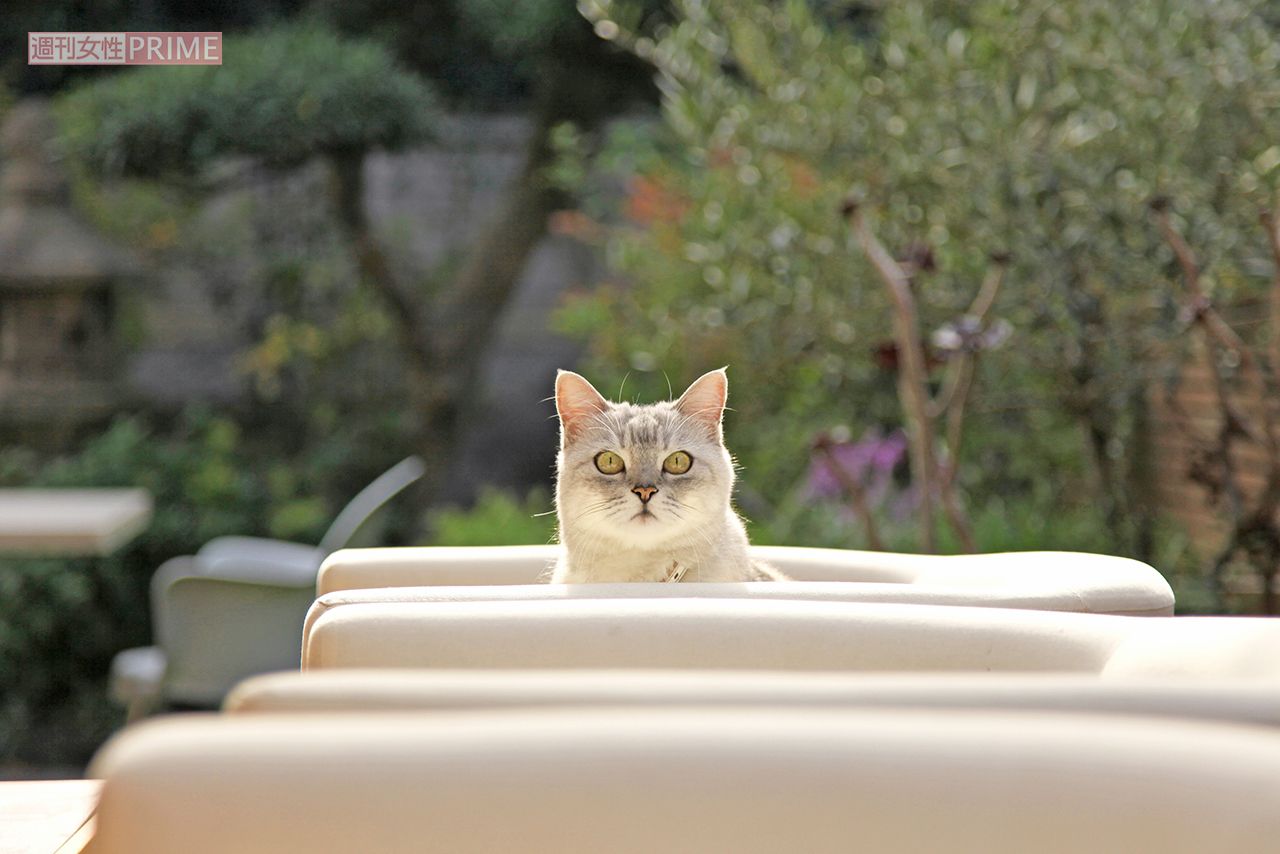 撮影／朝井まかてさん