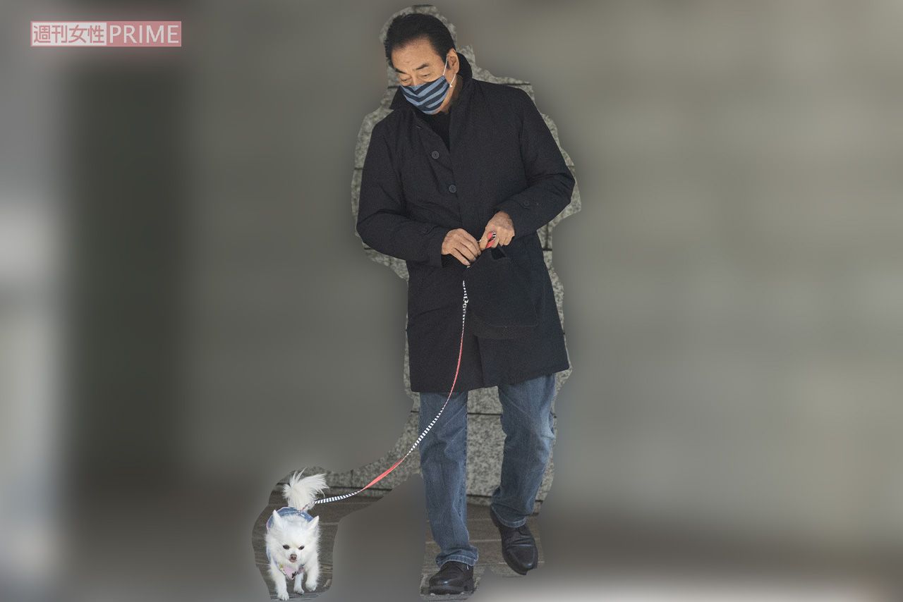 2月上旬の昼下がり、愛犬と散歩する高橋英樹。「体調万全で仕事に参加できるように」と、日々運動は欠かさない