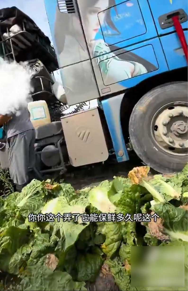 ネット上で拡散されている、中国の白菜収穫の様子を捉えた動画。白菜のすぐ近くには薬品らしき液体が（Xより）
