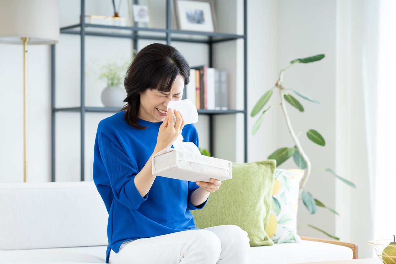 ※写真はイメージです