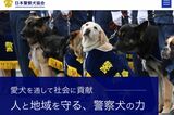 宮崎県初の“ポメラニアン警察犬”ハク号がネットで話題、警察犬訓練の専門家も期…