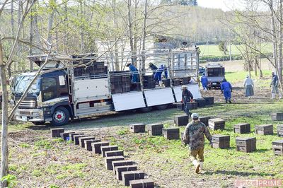 鹿児島から北海道へ。移動を終え、蜜箱を下ろす場面　撮影／伊藤和幸