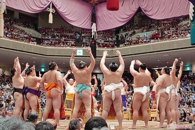 【大相撲】溜席に芸能人ズラリ！ デヴィ夫人らが映り込む理由とは？