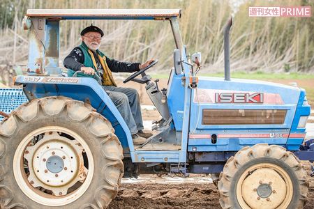 「野菜づくりは観察することが大事。そして今ある土を健全に維持するのみ」　撮影／齋藤周造