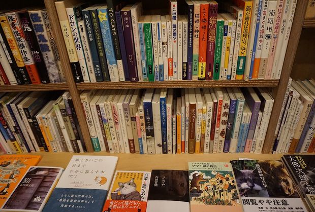 『Cat's Meow Books』にはタイトルが猫づくしの本棚も