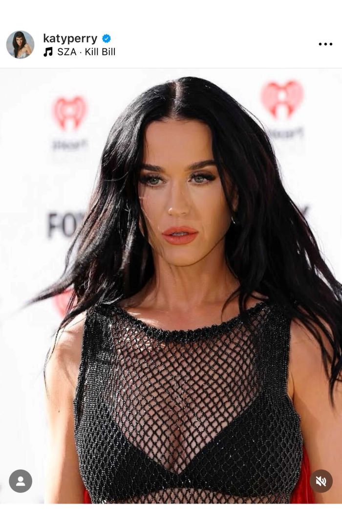 4月1日に披露したメッシュドレス姿（ケイティ・ペリー公式インスタグラムより）