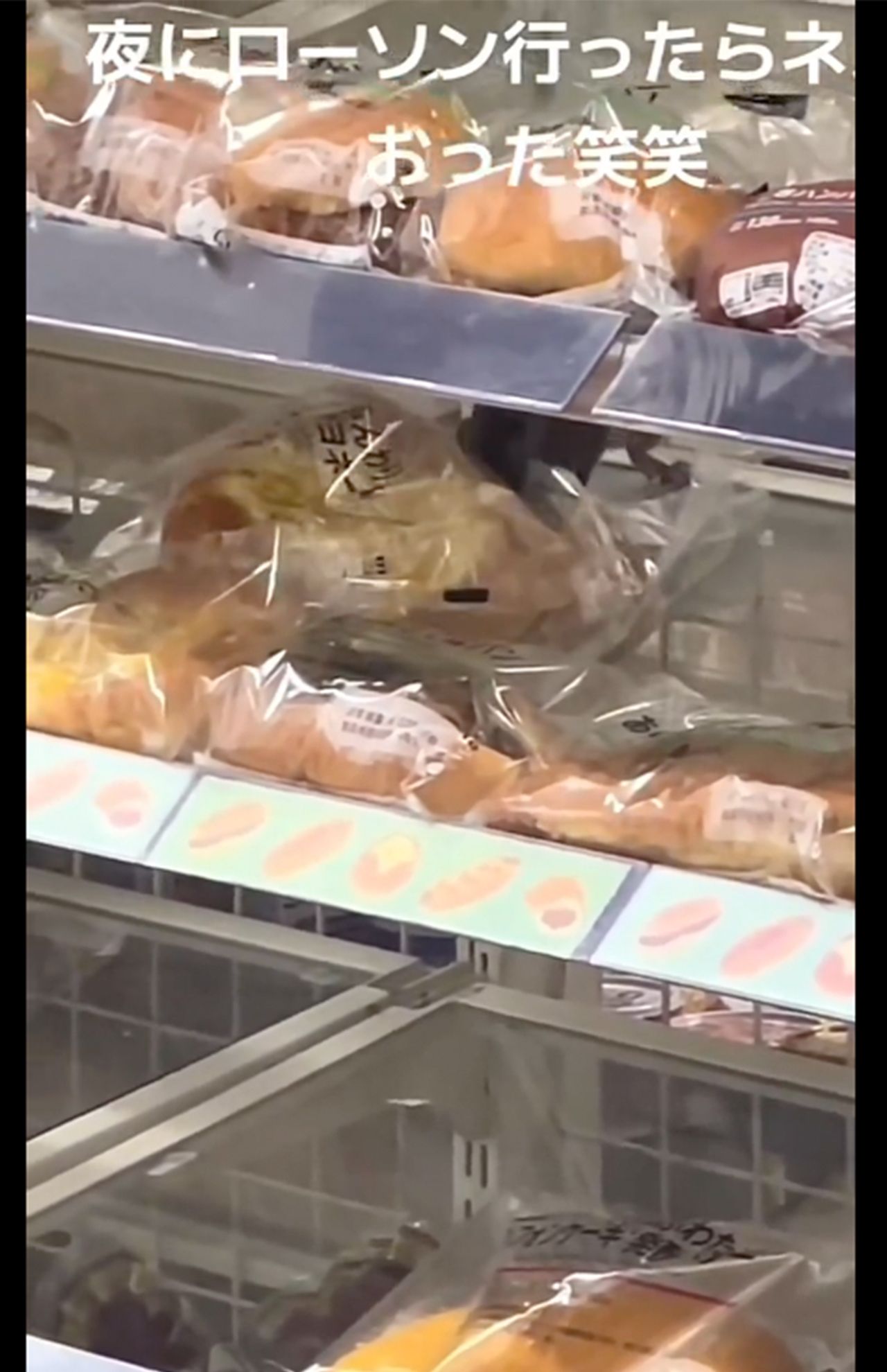 ローソン店内でネズミがパンをかじる動画。商品は『ふんわりコーンマヨネーズパン』か（3/4、Xより）