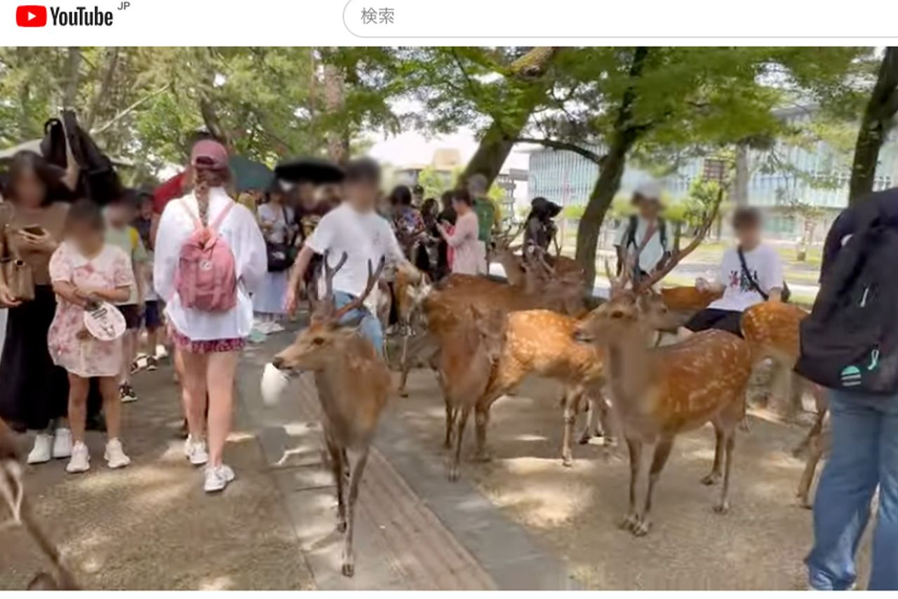 YouTubeに投稿された、奈良公園で鹿を2度も蹴飛ばす白いTシャツの男性（一部編集部加工）