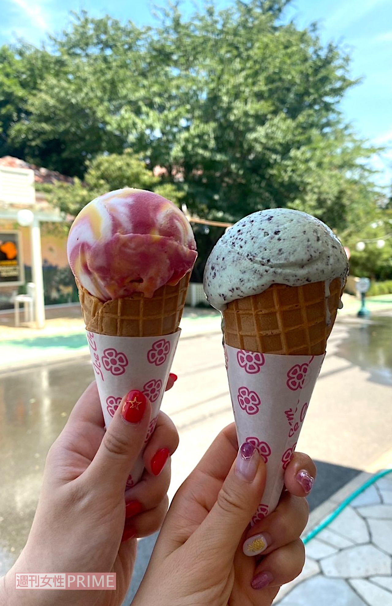 こう暑いと冷たいものが次々に欲しくなります!　常に飲み物を持ち歩かないと危険ですね　撮影／加藤綾菜