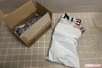 「おまえ、トコジラミか!?」中国系格安通販サイトの荷物にいた!年間500個の卵を産む厄介者の正体と対処法