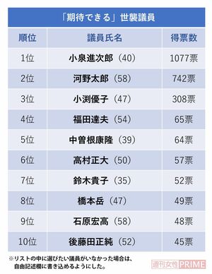 『期待できる世襲議員TOP10』