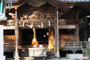 境内の中心、本殿に祀られているのは「金龍」。「お金や人の運を呼び込んでくれます」　東京都・田無神社