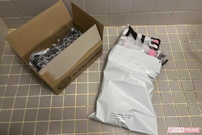 「おまえ、トコジラミか!?」中国系格安通販サイトの荷物にいた！年間500個の卵を産む厄介者の正体と対処法