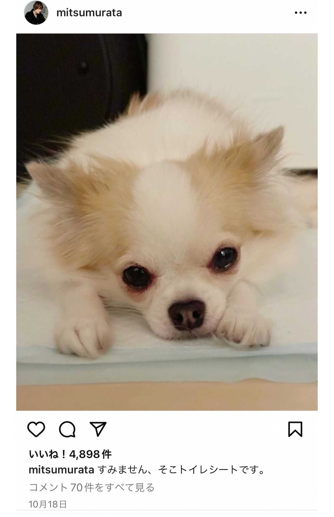 自身のSNSで神田さんの愛犬の画像を発信し続ける村田充