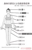 身体の部位による経皮吸収率