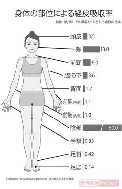 身体の部位による経皮吸収率
