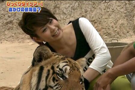 タレントとして活躍していたころ。体当たりのリポートなど、さまざまな分野でマルチに活動していた