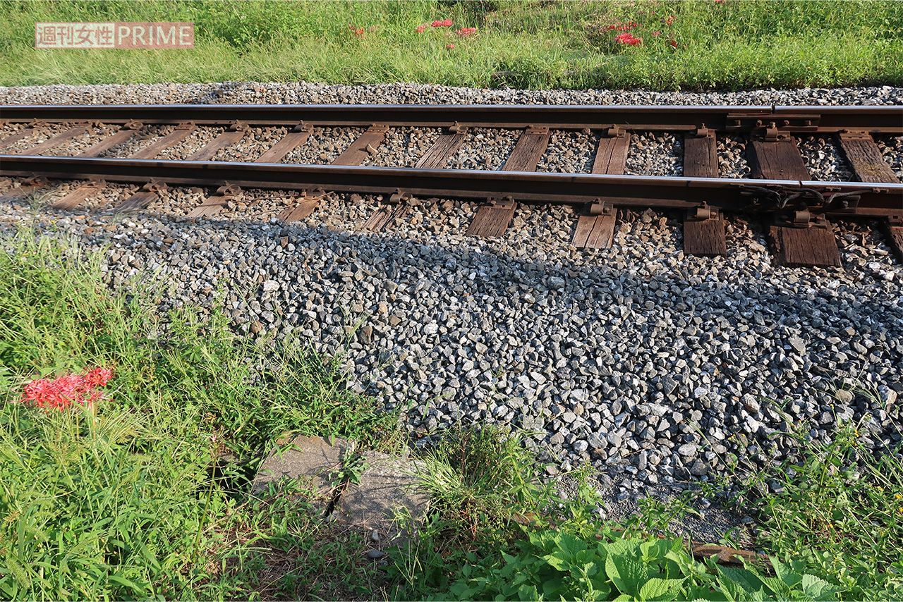 山添議員が横断したと思われる簡易踏切（秩父鉄道敷地外から撮影）
