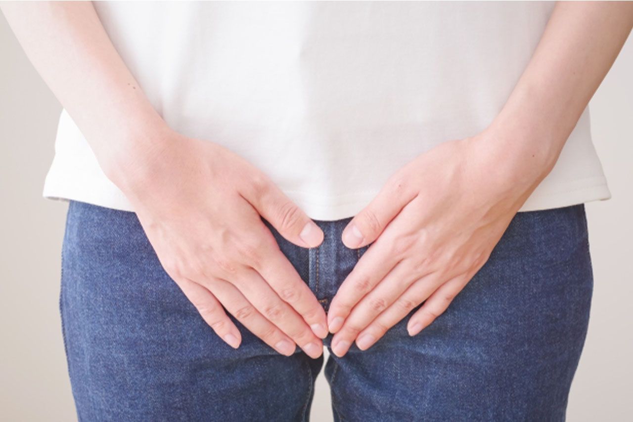 写真はイメージです