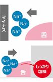 塩味のもととなるナトリウムイオンは通常は分散している状態(上)。ここに独自波形の電流を流して動きをコントロールすることで、舌でしっかりとした塩味を感じることが可能に(下)