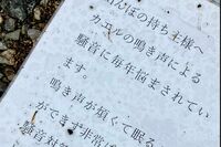 「カエルの鳴き声に悩まされている」田んぼの持ち主への苦情ビラが拡散され批判殺到　過去には都内で同様の…