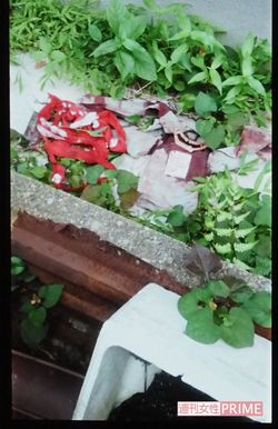 民家の隙間に落ちていた血まみれの止血帯