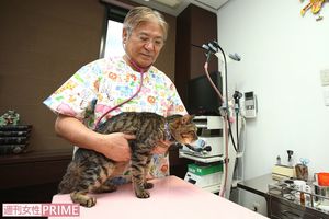 “いい獣医師”の選び方とは？　若山先生が教えてくれた　撮影／齋藤周造