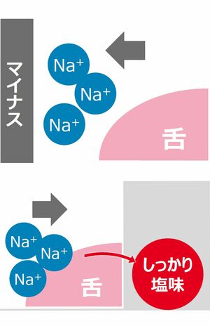 塩味のもととなるナトリウムイオンは通常は分散している状態（上）。ここに独自波形の電流を流して動きをコントロールすることで、舌でしっかりとした塩味を感じることが可能に（下）