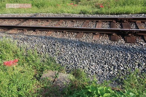 山添議員が横断したと思われる簡易踏切（秩父鉄道敷地外から撮影）