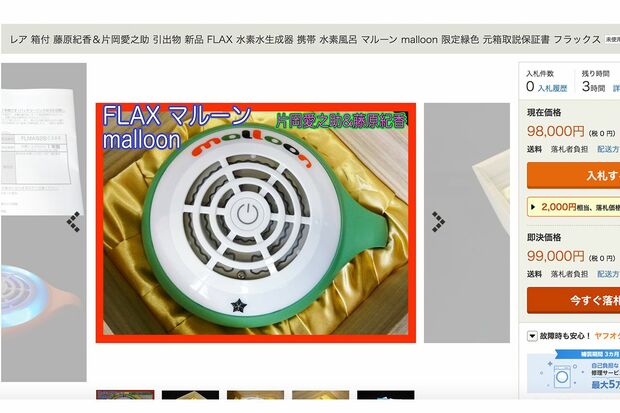 藤原紀香・片岡愛之助の結婚式で配られた引き出物（オークションサイトより）