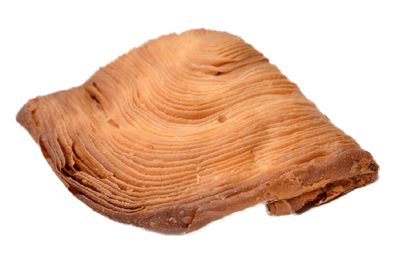 スフォリアテッラ　画像提供／中山秀明さん